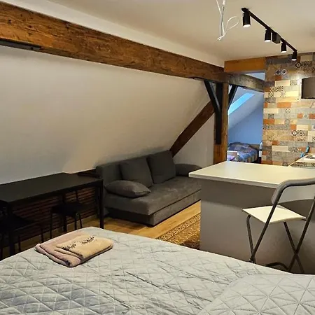 Planinski Dom Na Travni Gori Casa vacanze Sodrazica