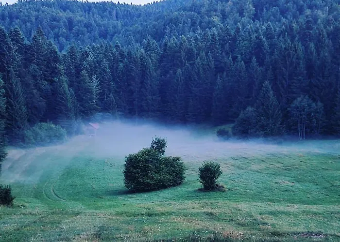 Planinski Dom Na Travni Gori Sodrazica