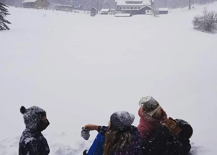 Planinski Dom Na Travni Gori Σπίτι διακοπών Sodrazica