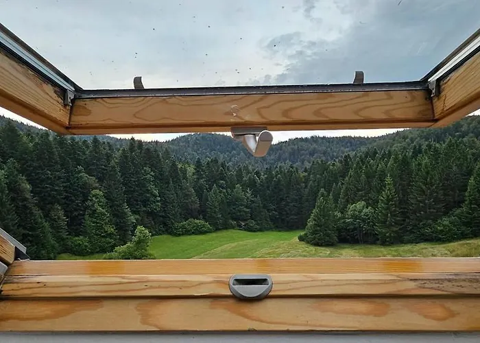 Planinski Dom Na Travni Gori * Sodrazica